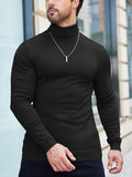 Basic Slim Fit Turtleneck Sweater