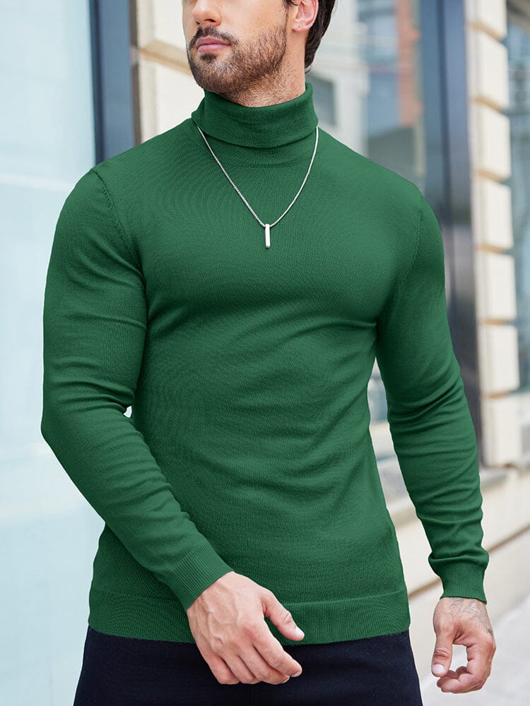 Basic Slim Fit Turtleneck Sweater