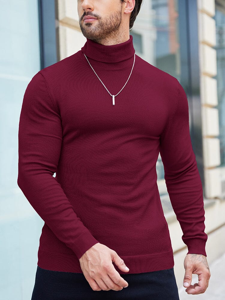 Basic Slim Fit Turtleneck Sweater